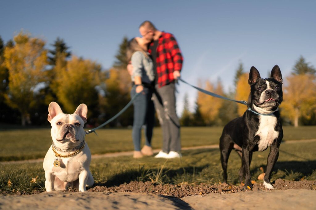 Family with their dog during a fall photo session at Baker Park Calgary
